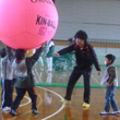 平成27年1月〜6月の活動報告