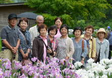 花菖蒲園