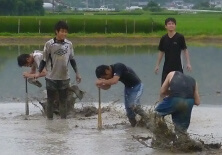 どろんこ大会