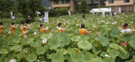 蓮の花の中でフラダンス